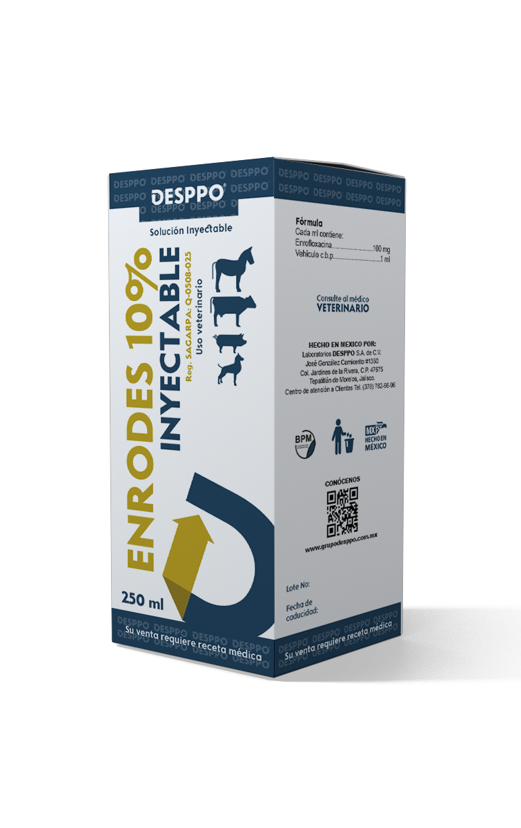 enrodes-10-iny5e4